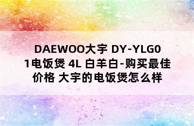 DAEWOO大宇 DY-YLG01电饭煲 4L 白羊白-购买最佳价格 大宇的电饭煲怎么样